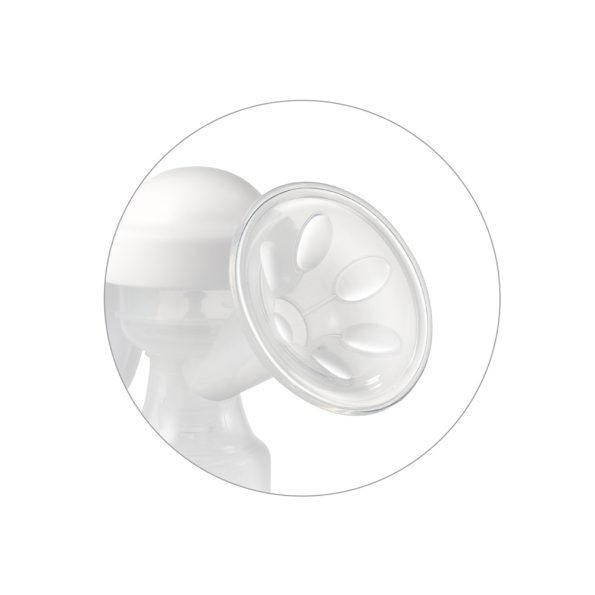 07-babyono-izdajalica-anatomy-rucnajpg